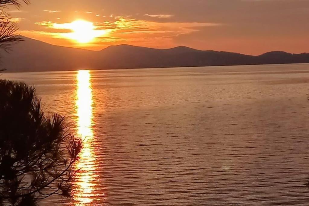 Zadar Center Beach Apartment - Directly On The Sea Exteriör bild
