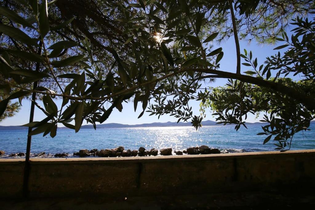 Zadar Center Beach Apartment - Directly On The Sea Exteriör bild